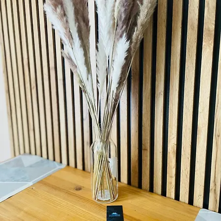 Centrum Kolejowa 15 Apartament