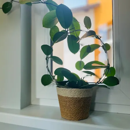 Apartman Centrum Kolejowa 15