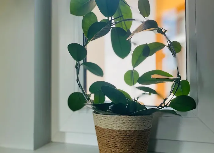 Apartament Centrum Kolejowa 15