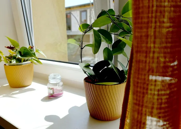 Centrum Kolejowa 15 Appartamento *